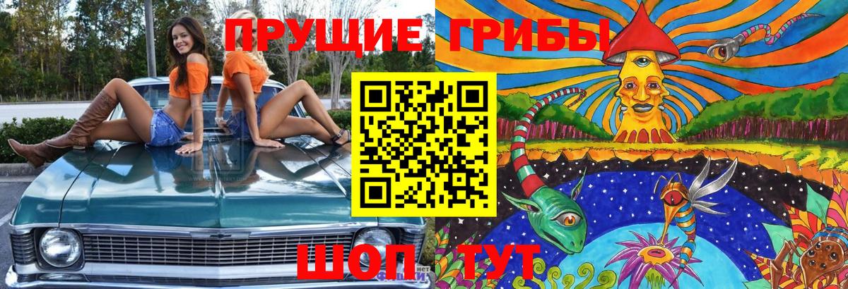 Малгобек  Псилоцибиновые грибы MAGIC MUSHROOMS  Вход с VPN 